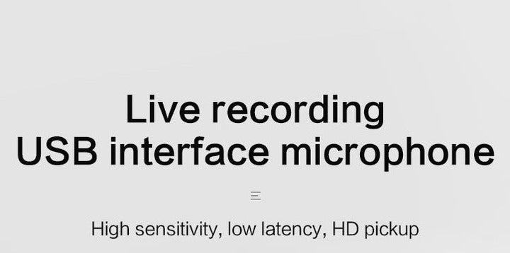 [Discontinued] Professional Condenser Studio Recording USB Microphone - Aussie Gadgets